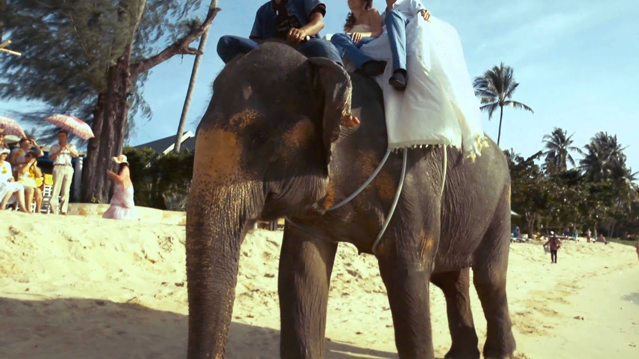 Wedding Thailand. Akbar and Dilia romantica.su