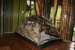 We invite lovers to move away from traditional wedding venues and scenarios. Now your engagement can turn into an exciting adventure filled with unrivaled romance and a spirit of adventure. Let your wedding be like Tarzan's, among the branches of vines in the tropical jungle.