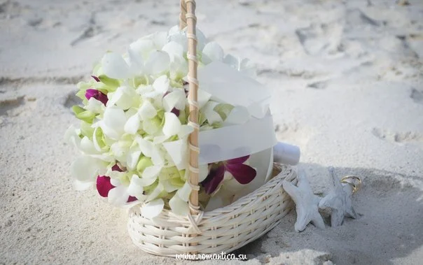Организация свадебной церемонии  www.romantica.su